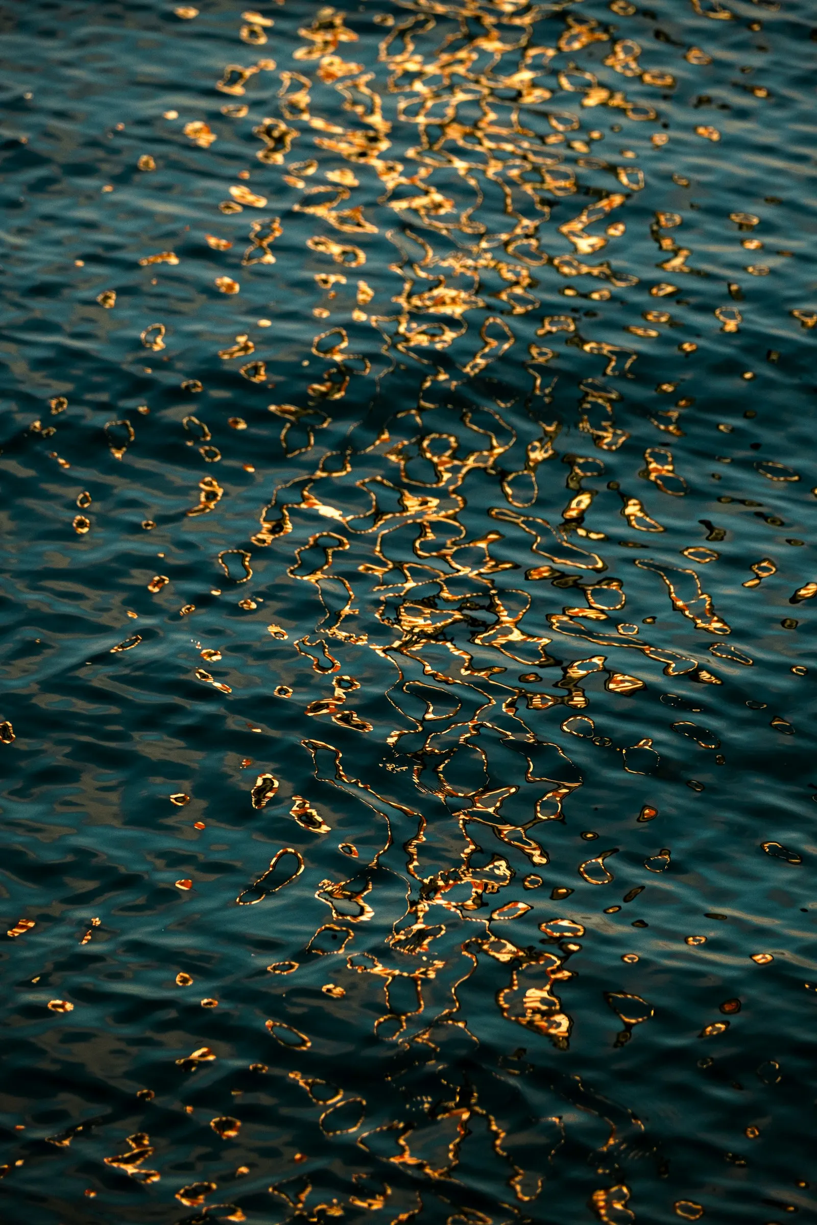 Golden sunlight reflected on water
